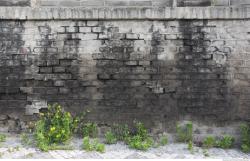 Photo Textures of Wall Brick